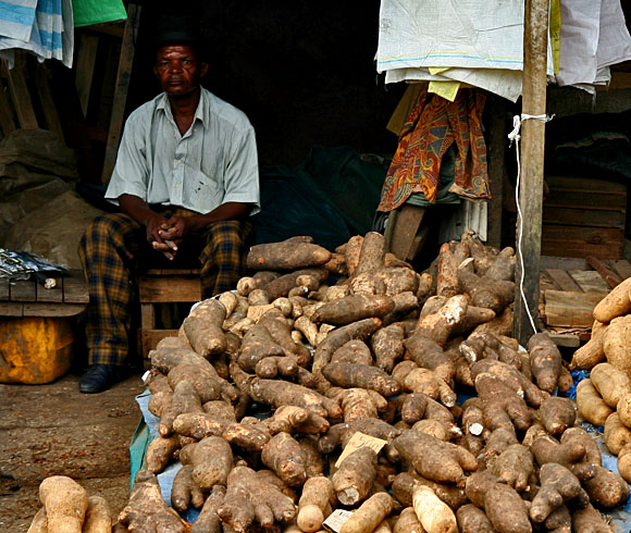 Prodava yam