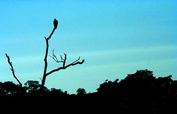 Cerro Cor, Paraguay