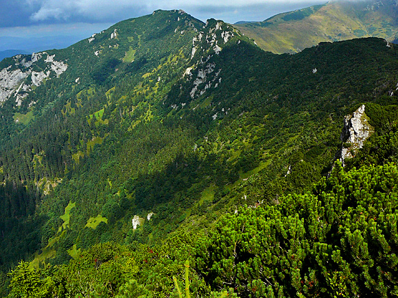 Mal Fatra