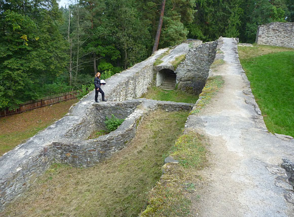 Koz hrdek