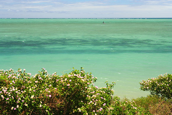 Rodrigues