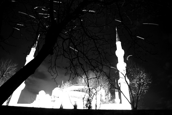 Rackov nad Blue mosque, Istanbul