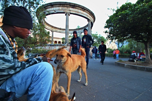 Xela