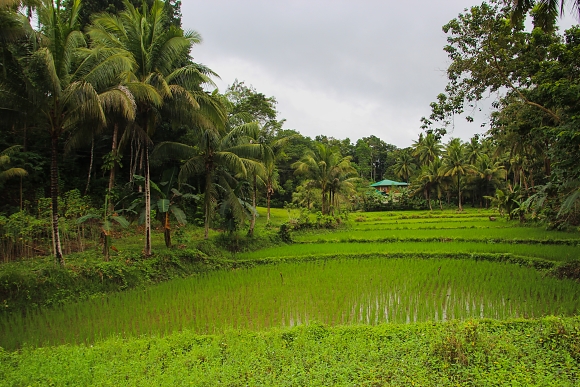 Venkov, Bohol.
