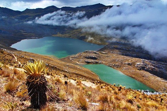 Laguna Verde