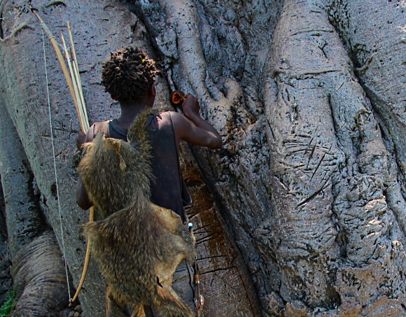 Hadzabe, Tanzania