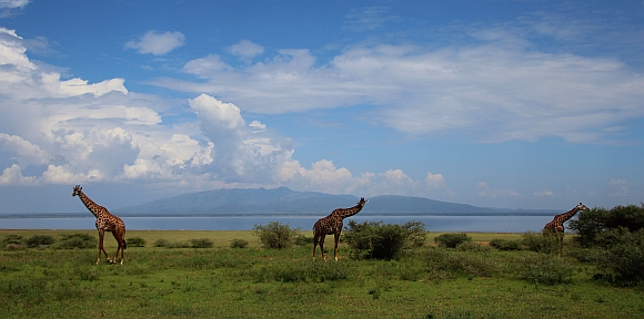 Jezero Manyara