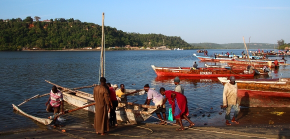 Pangani