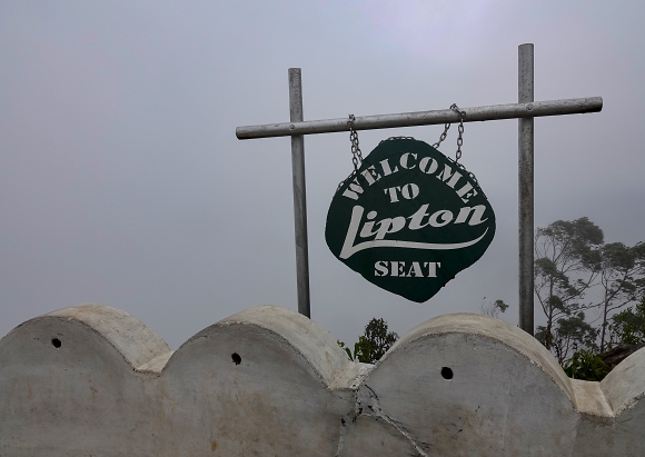 Liptons seat.