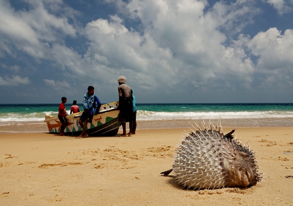 Coast north of Jaffna