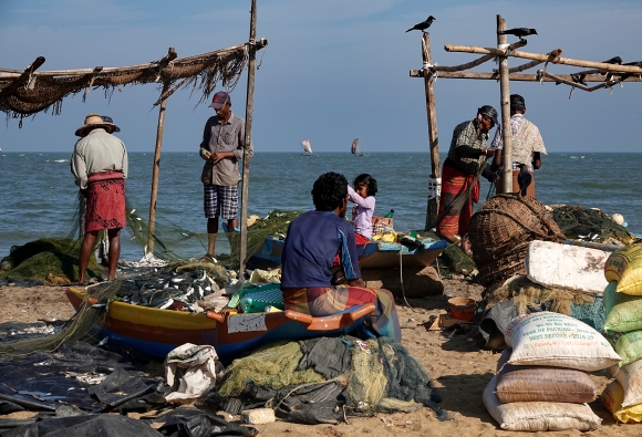 Fishermen, Negombo.