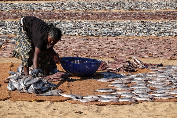 Fisherwoman