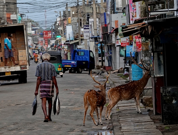 Street of Trincomalee
