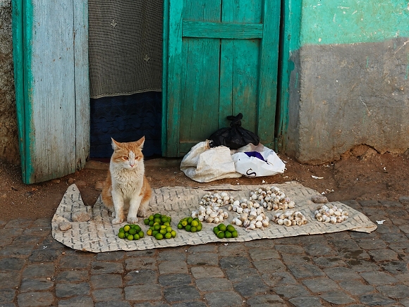 Harar