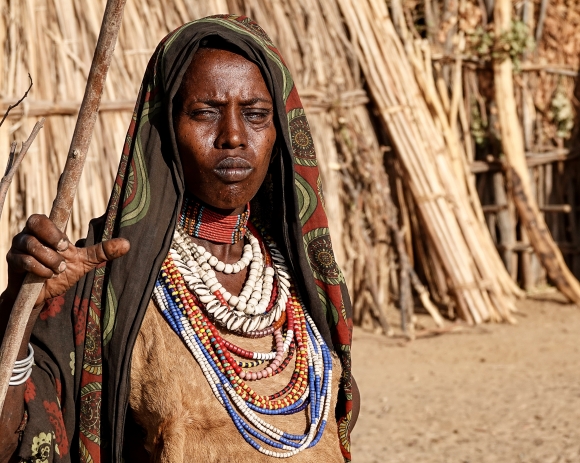 entina Arbore