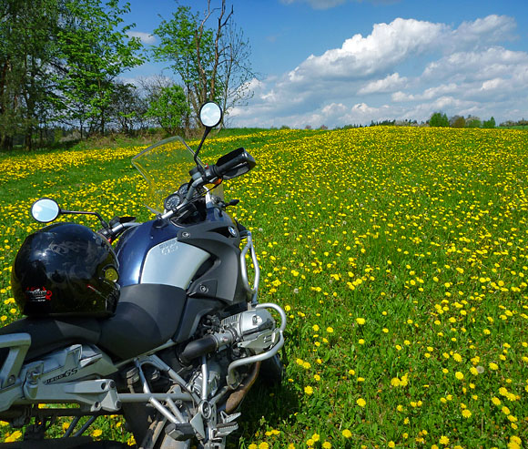BMW R1200GS na poli