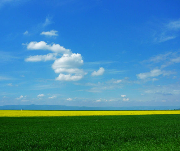 Modra, zluta, zelena