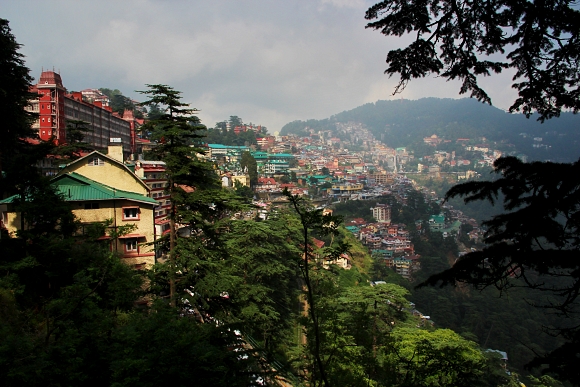Shimla