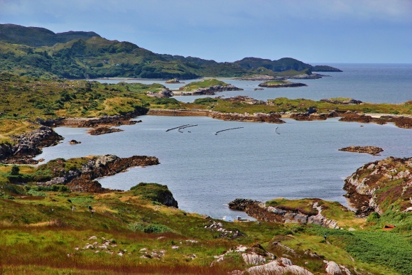 Ring of Beara