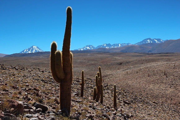 Atacama, nedaleko kaonu Guatn