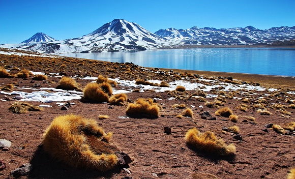 Laguna Miscanti