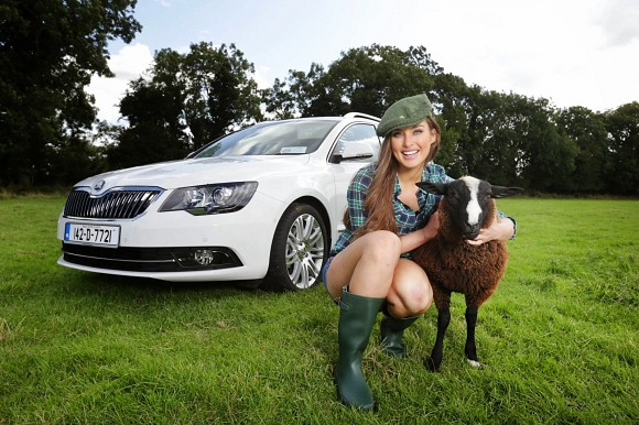 Ploughing championships in Ireland
