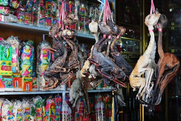 Mercado de Hechiceria, La Paz, Bolivia