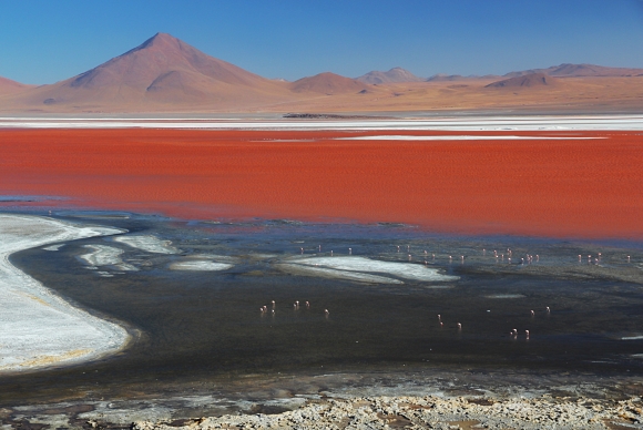 Laguna Colorada