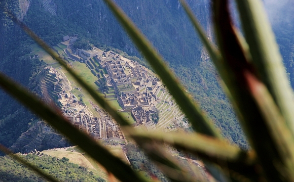Machu Picchu