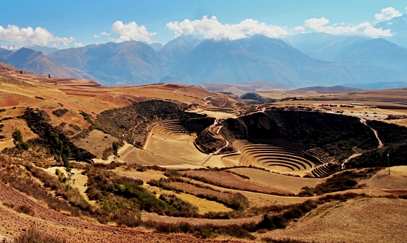 Moray