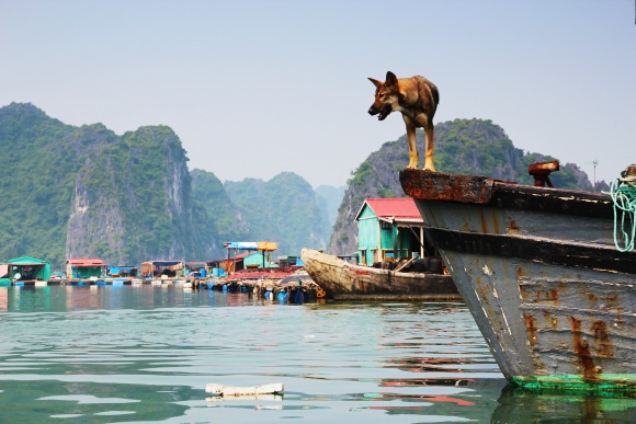 Vesnice v zlivu Halong Bay u Cat Ba