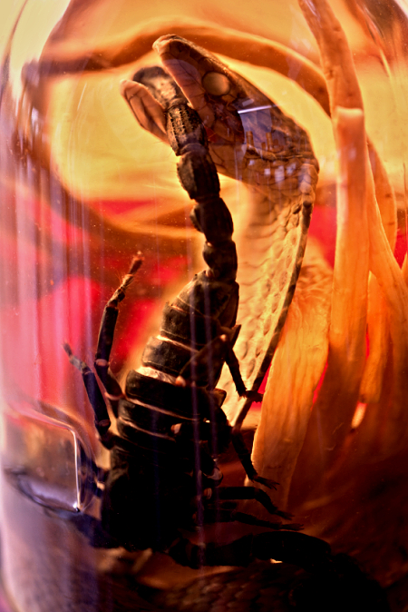 Snake wine