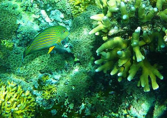 Gili Air, Indonesia