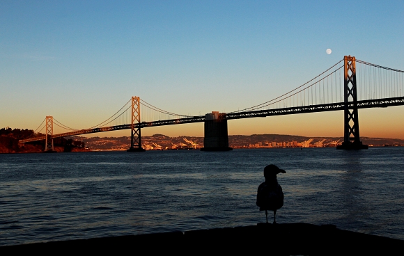 Bay Bridge. Opomjen soused Golden Gate Bridge.
