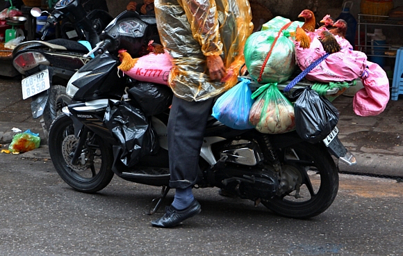 Kad soudn lovk v, e ve vvoji motocyklovch zavazadel Asie u dvno pedbhla Evropu.