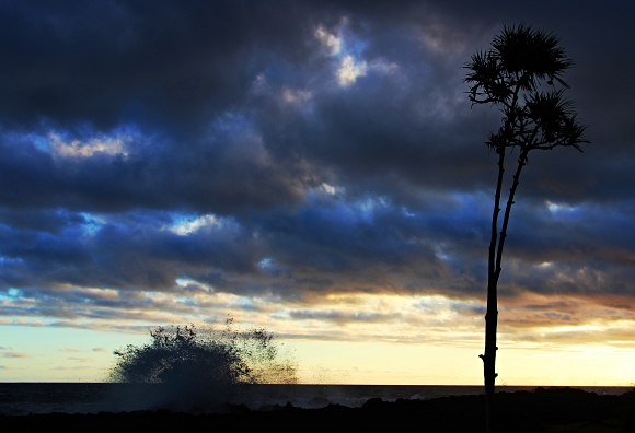 Reunion coast
