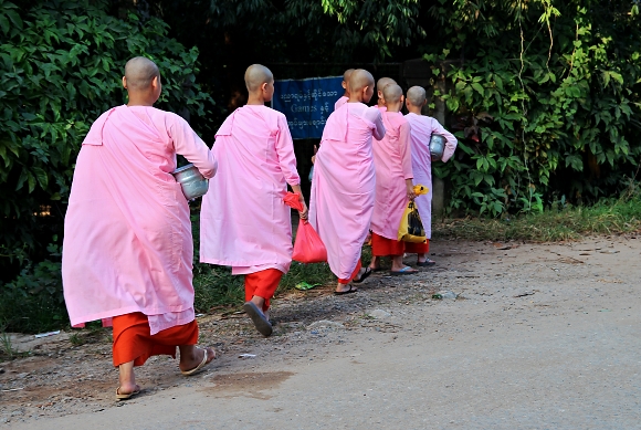 Mniky na ulici v Hpa An.
