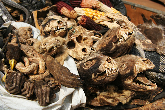 Zoologick zahrada na trhu v Bamaku