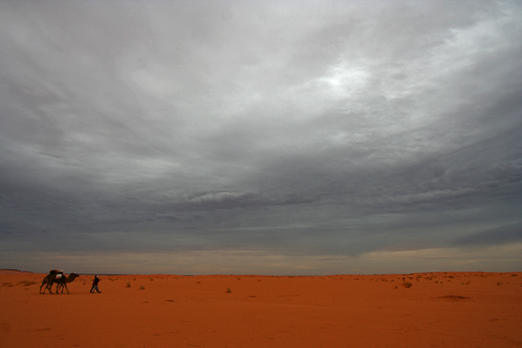 Sahara