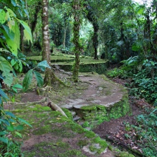 colombia0220132361