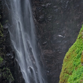 iceland 2012016