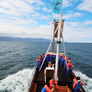 iceland 2012096
