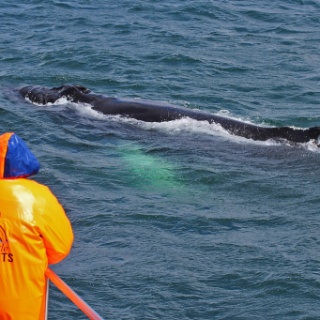 iceland 2012111