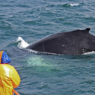 iceland 2012116