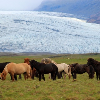 iceland 2012251