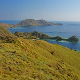 indonesia2010061