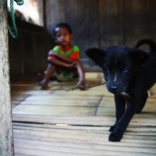 indonesia2010256