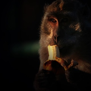 indonesia2010272