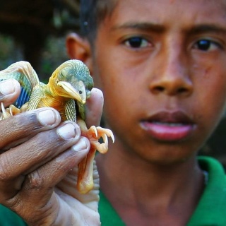 indonesia2010301