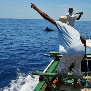 indonesia2010331